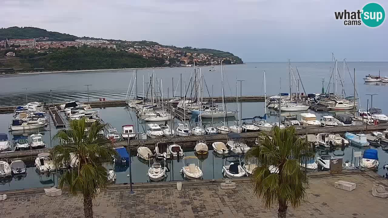 Webcam Koper – Panorama des Jachthafens und der Promenade vom Hotel Grand Koper