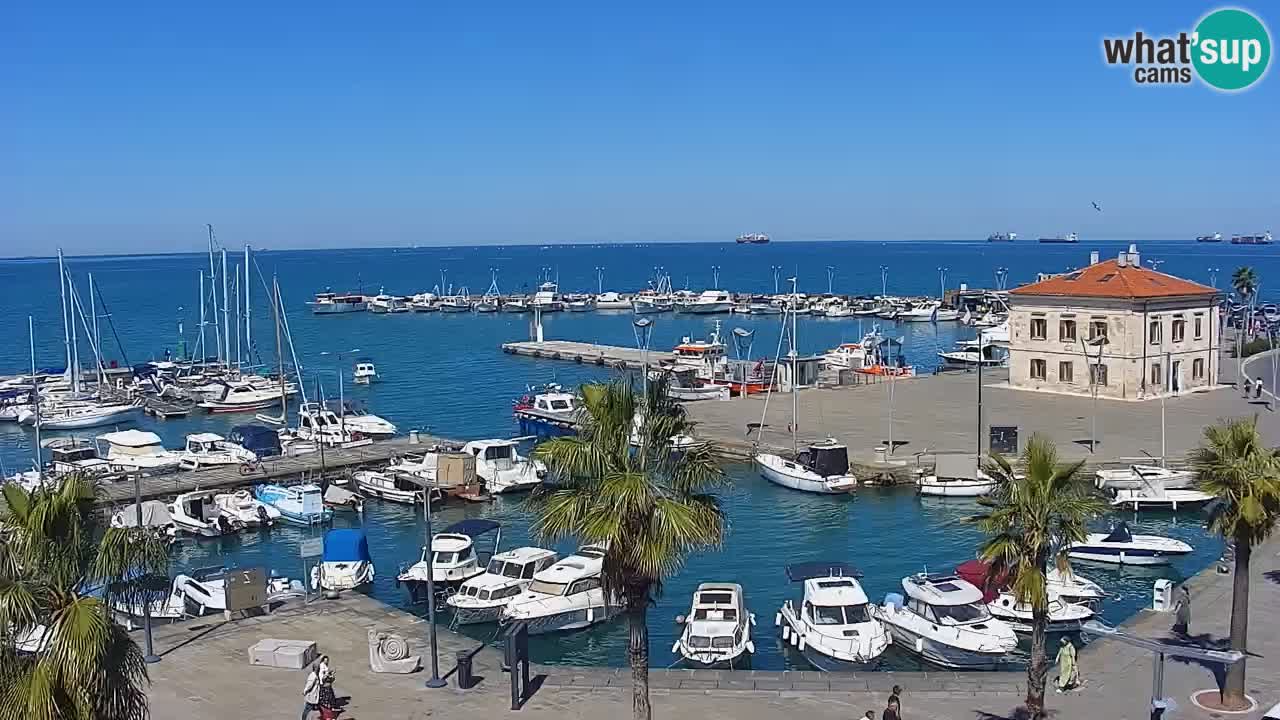 Camera en vivo Koper – puerto deportivo y paseo marítimo desde el Hotel Grand Koper