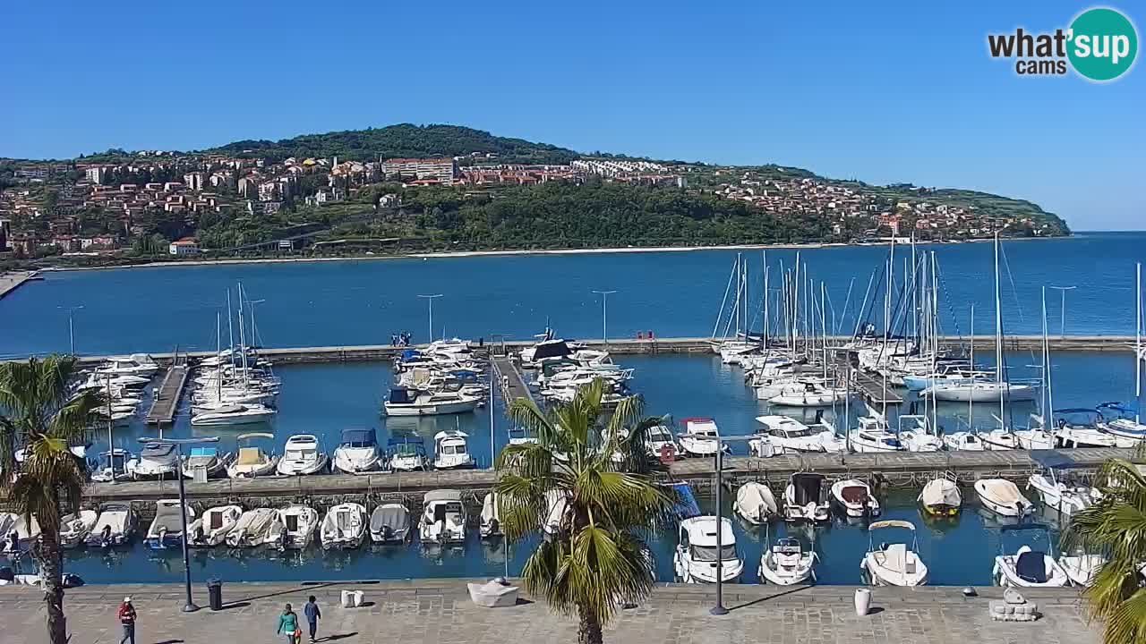 Webcam Koper – Panorama des Jachthafens und der Promenade vom Hotel Grand Koper