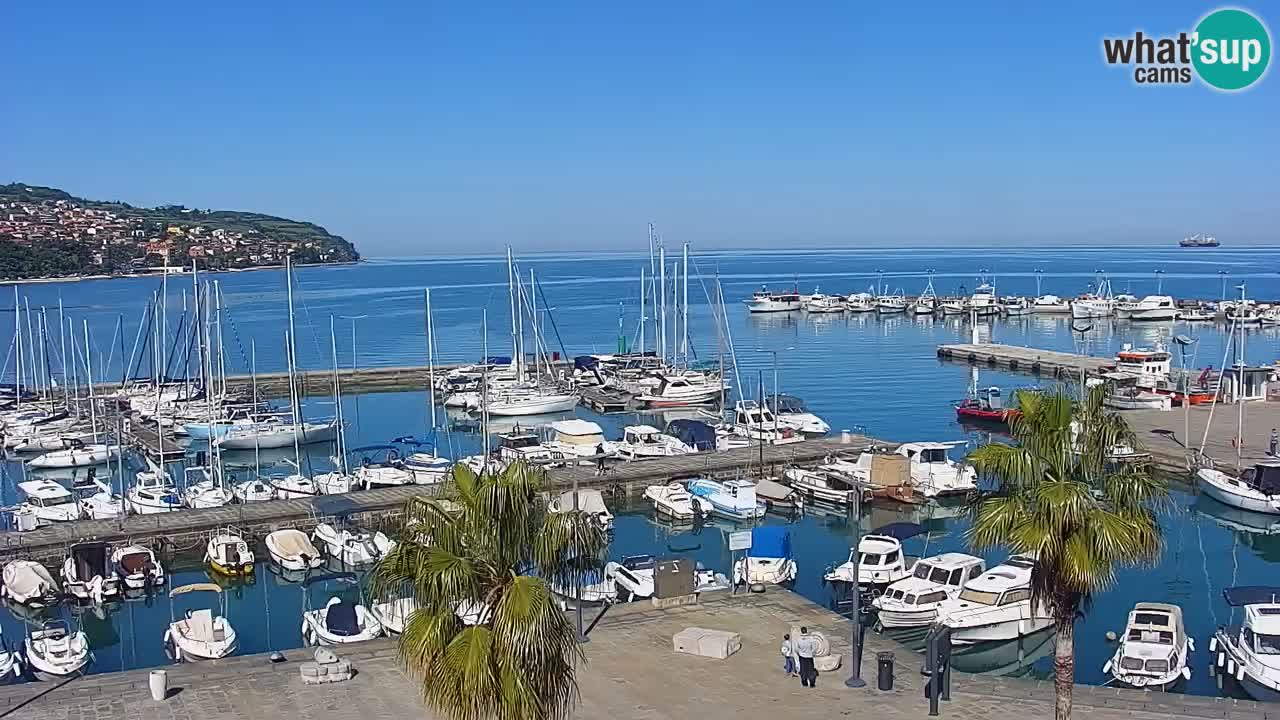 Webcam Capodistria – marina e lungo mare dall’Hotel Grand Koper