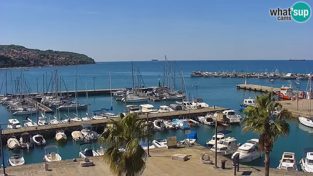 Camera en vivo Koper – puerto deportivo y paseo marítimo desde el Hotel Grand Koper