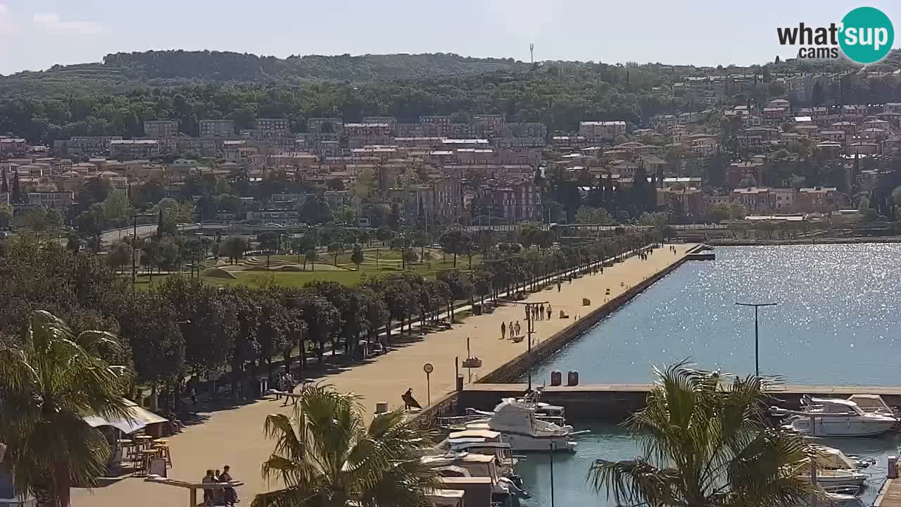 The Port of Koper live webcam – cruise and cargo port – Slovenia