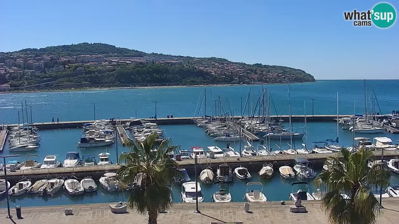 Spletna kamera Koper – Panorama na marino in promenado s Hotela Grand Koper