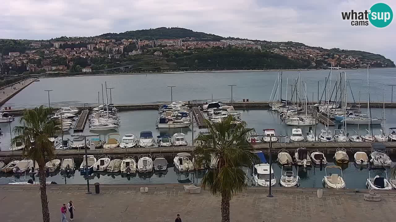Spletna kamera Koper – Panorama na marino in promenado s Hotela Grand Koper