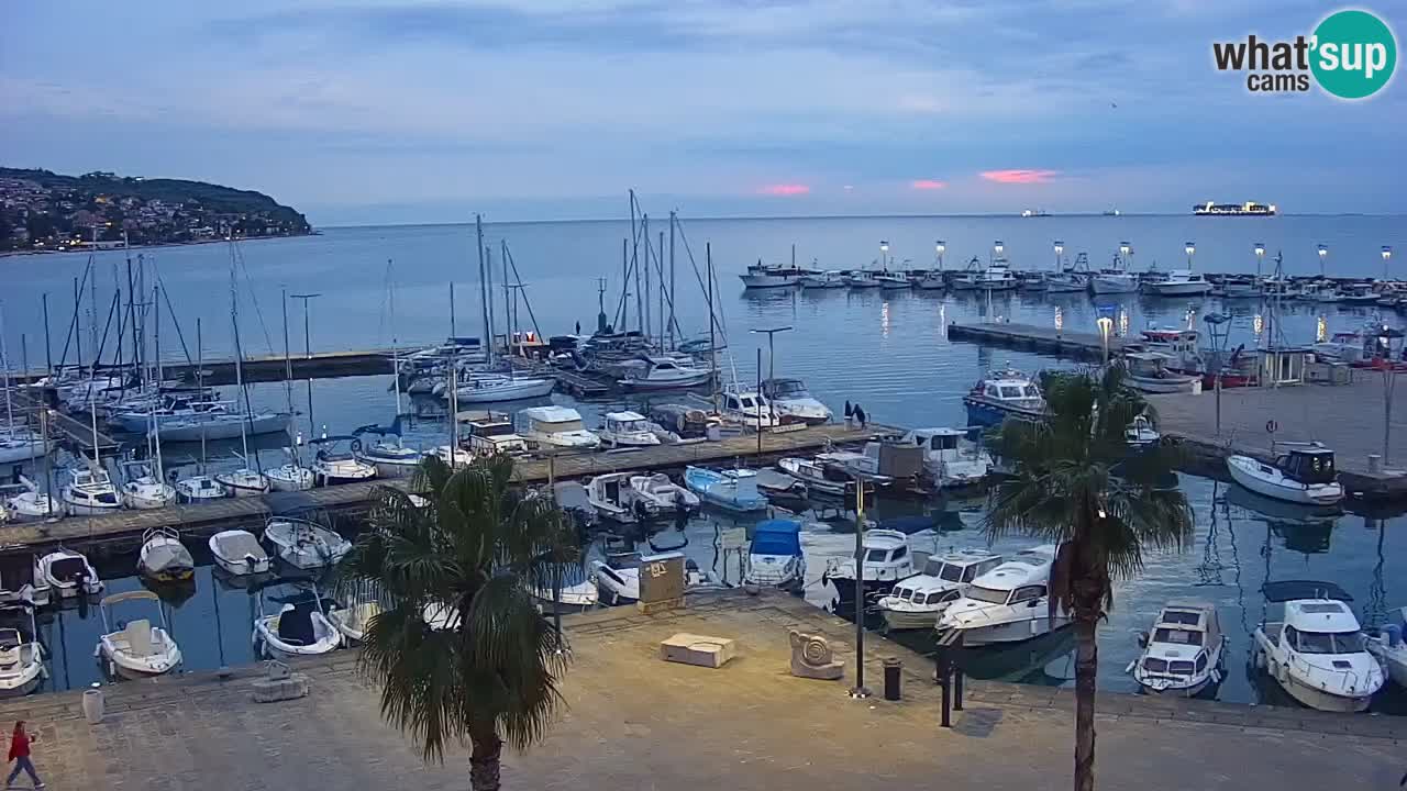 Webcam Koper – Panorama des Jachthafens und der Promenade vom Hotel Grand Koper