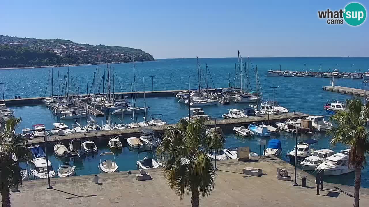 Web kamera Koper – marina i promenada – hotel Grand Koper