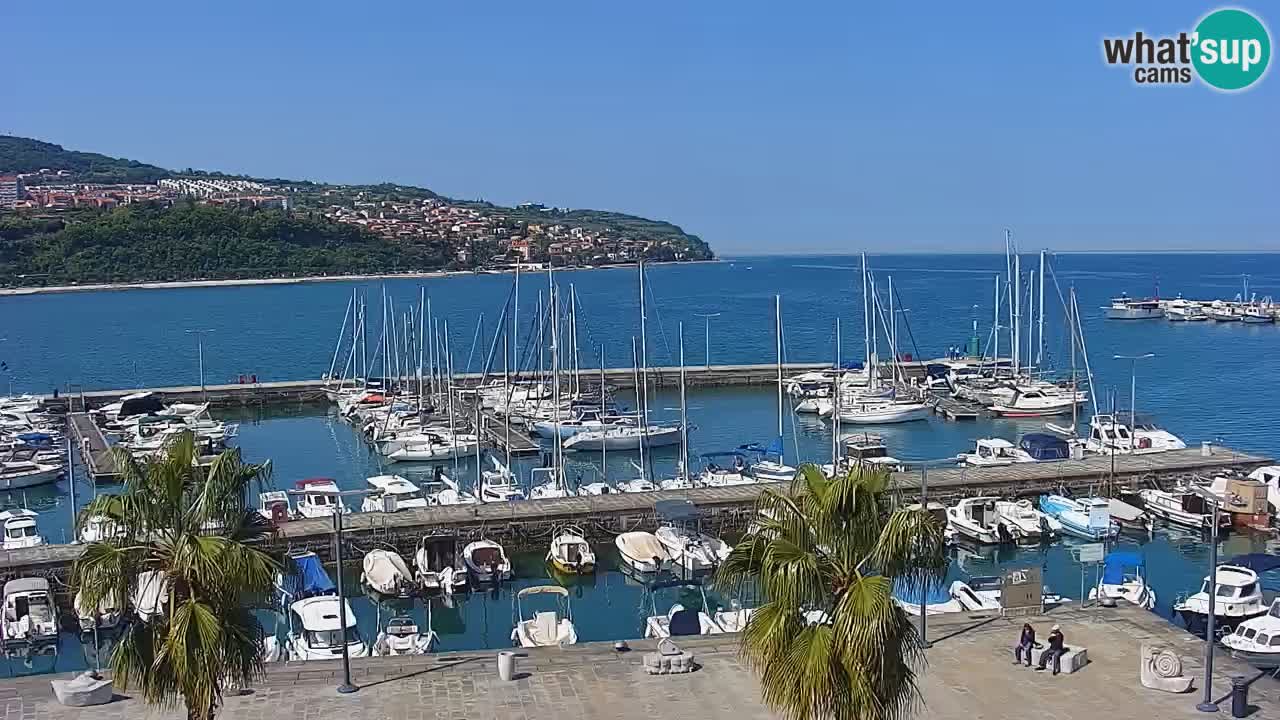 Webcam Koper – Panorama des Jachthafens und der Promenade vom Hotel Grand Koper