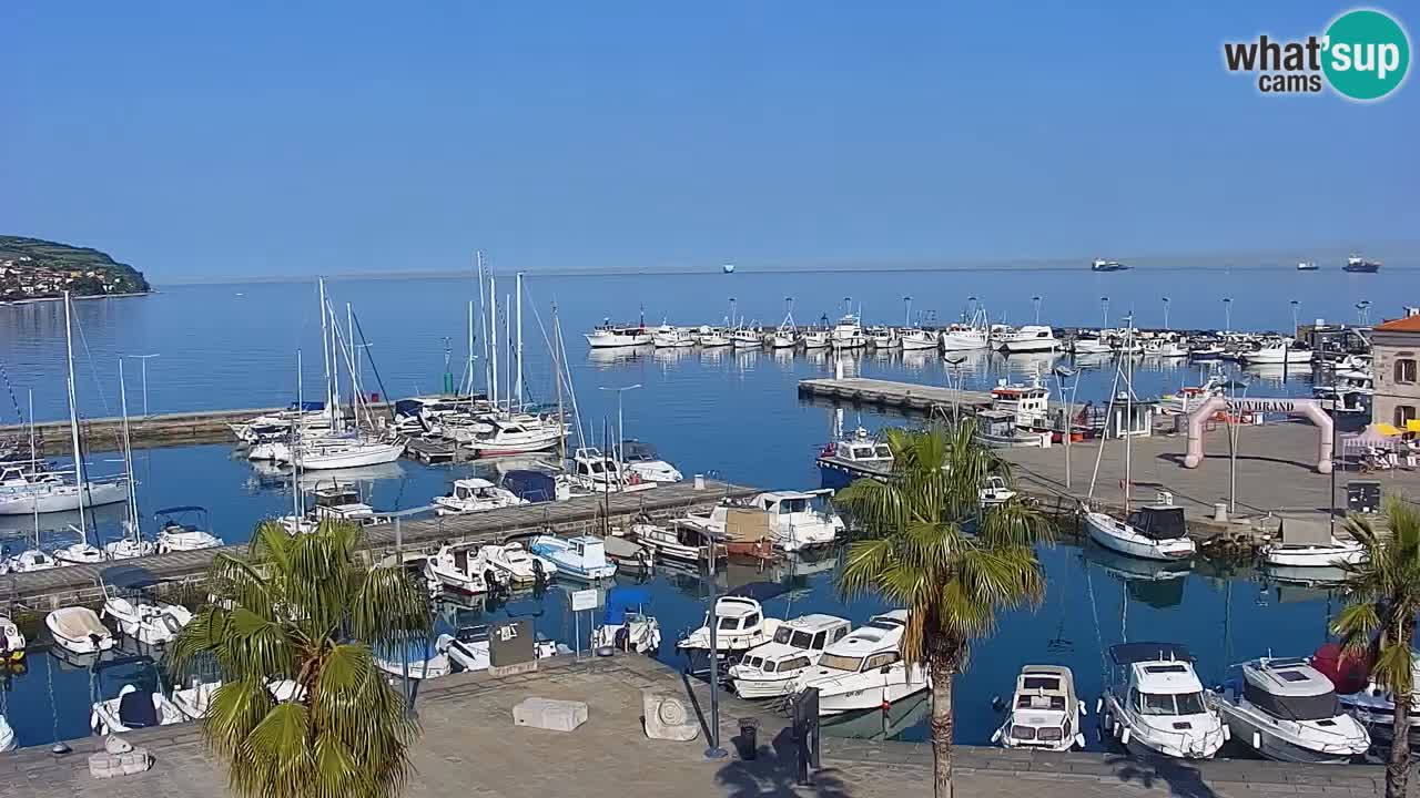 Spletna kamera Koper – Panorama na marino in promenado s Hotela Grand Koper