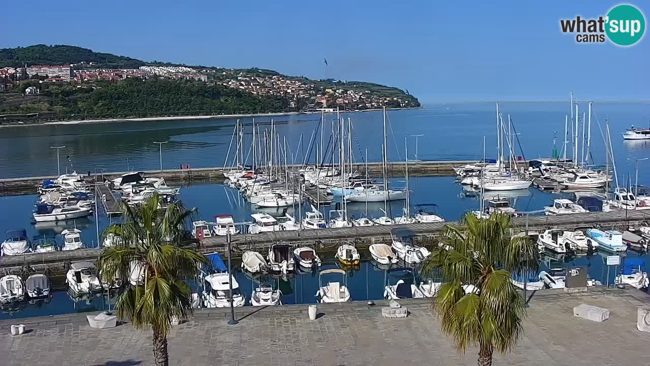 Webcam Koper – Panorama des Jachthafens und der Promenade vom Hotel Grand Koper