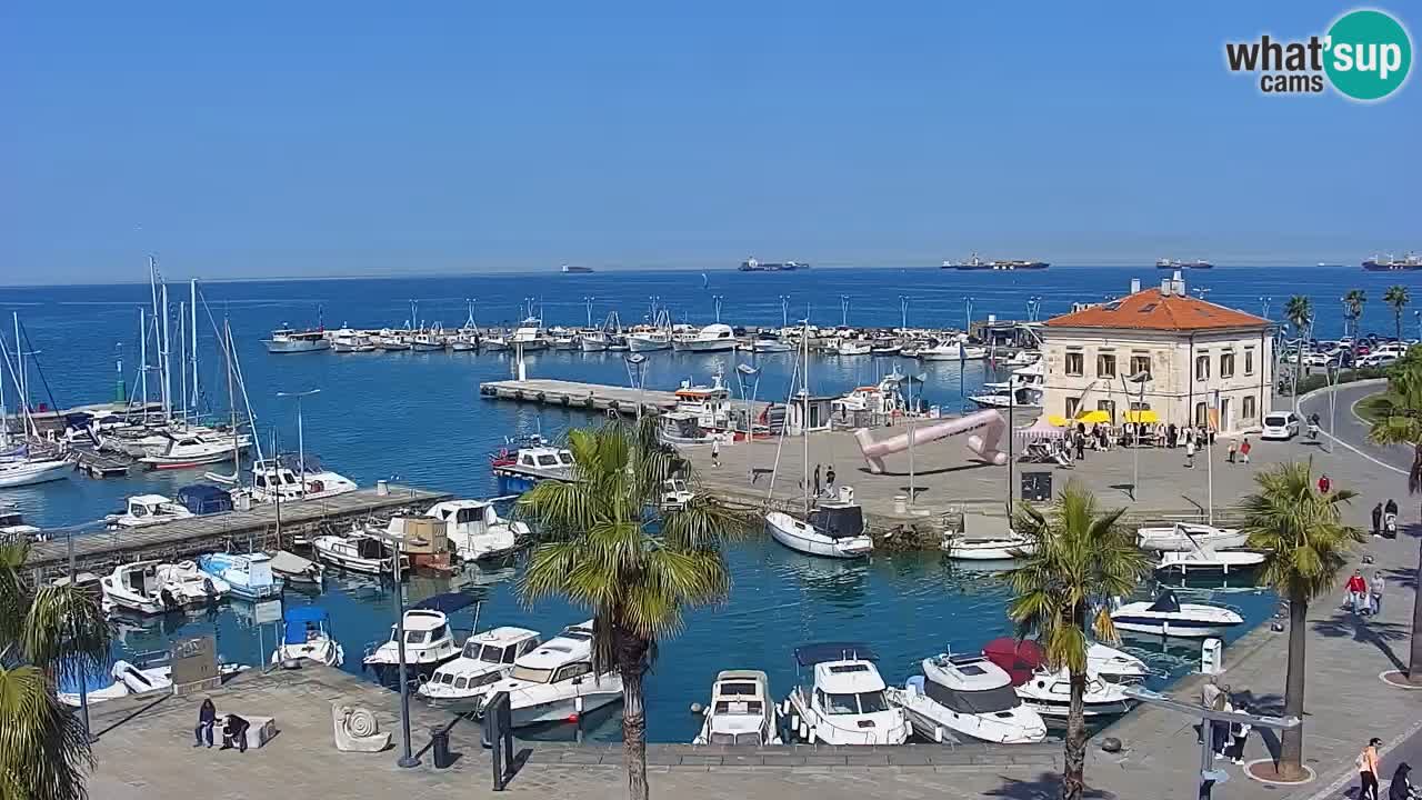 Webcam en direct du port de Koper – port de croisière et de fret – Slovénie