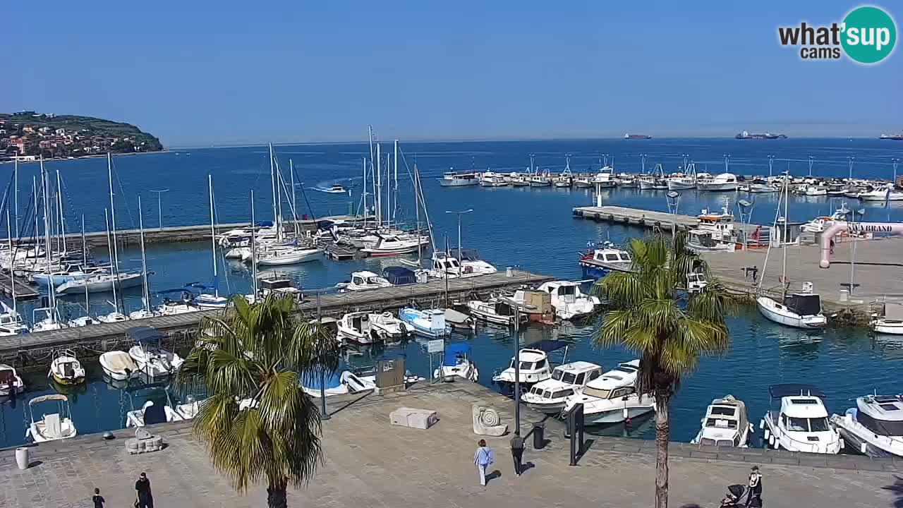 Webcam Koper – Panorama des Jachthafens und der Promenade vom Hotel Grand Koper