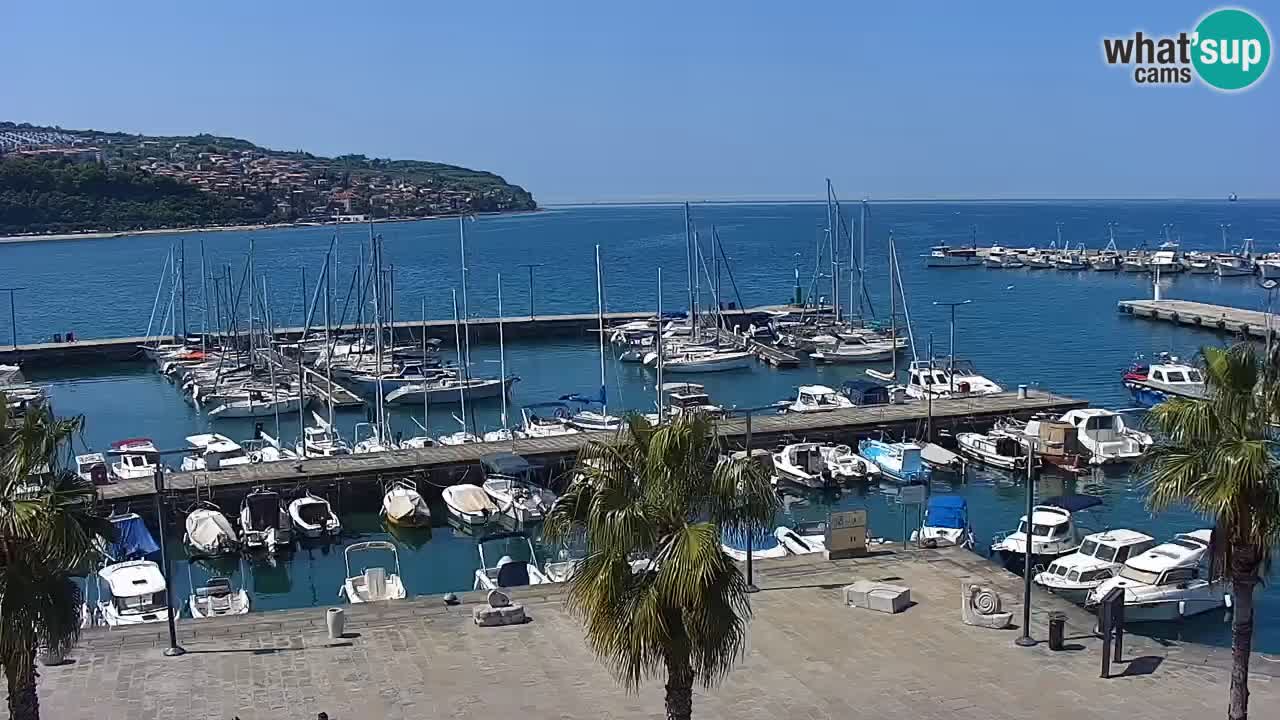 Web kamera Koper – marina i promenada – hotel Grand Koper