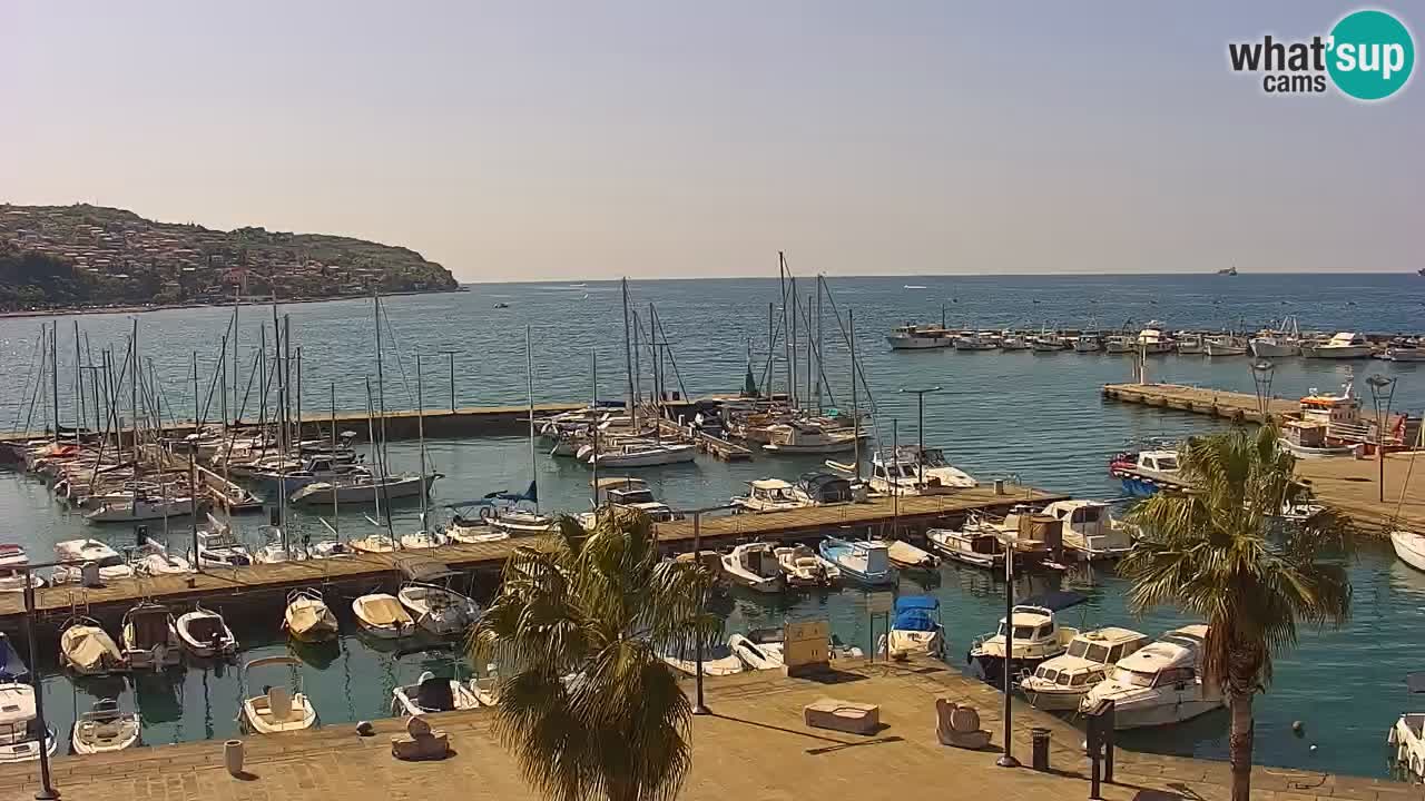 Webcam Koper – Panorama des Jachthafens und der Promenade vom Hotel Grand Koper