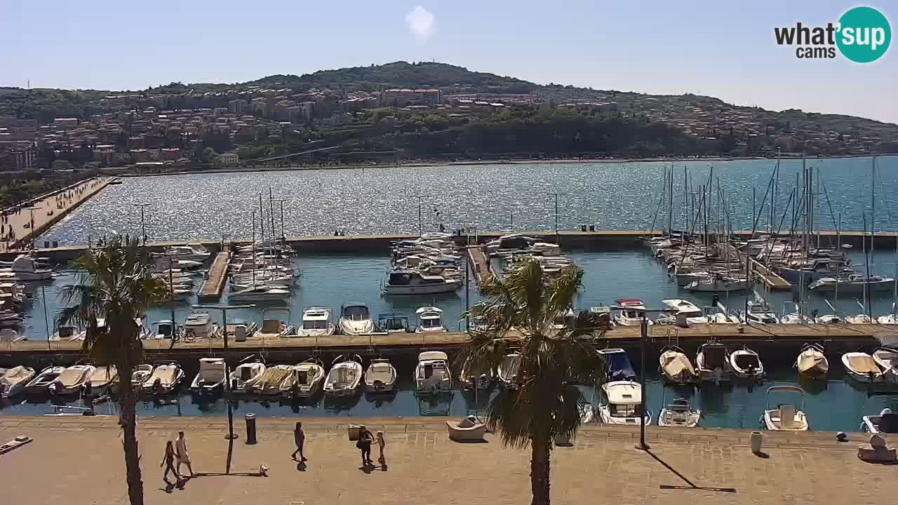 Webcam Koper – Panorama of the marina and promenade from the Grand Hotel Koper