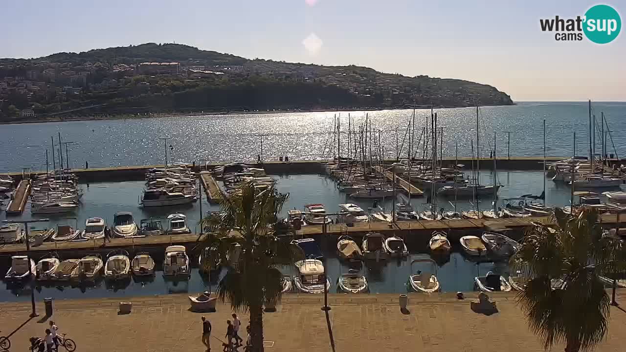 Webcam Koper – Panorama of the marina and promenade from the Grand Hotel Koper