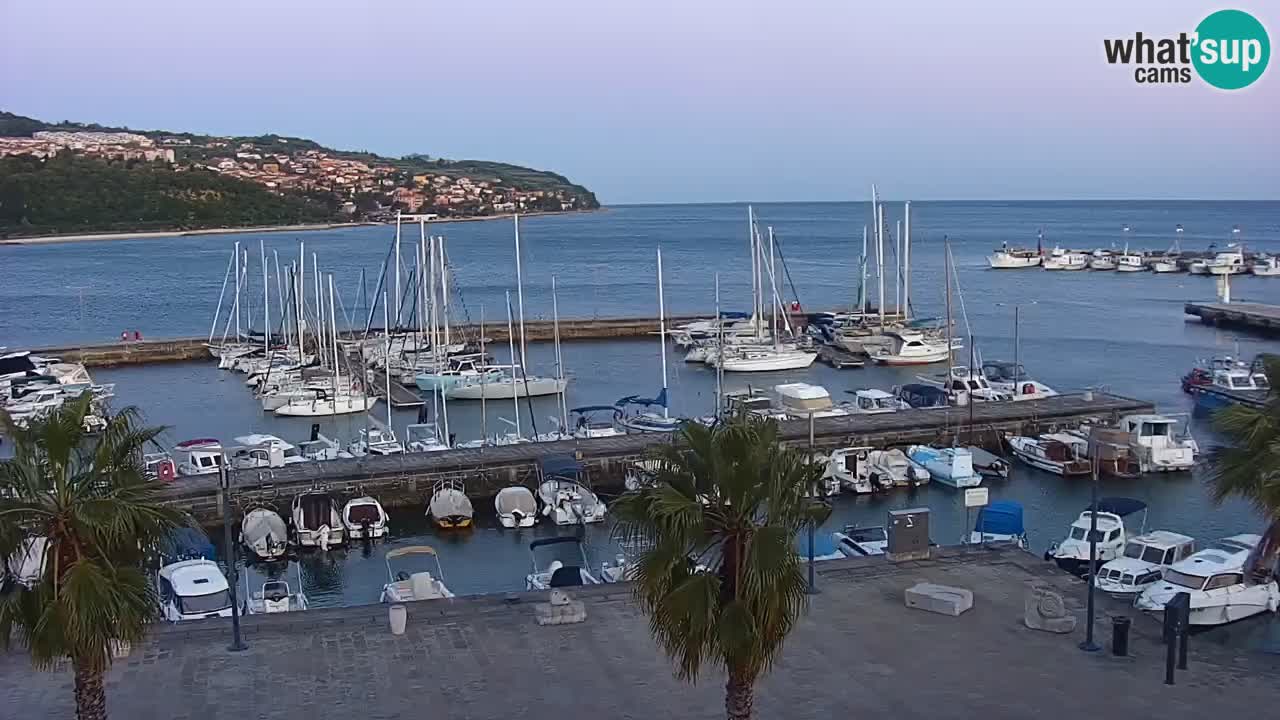 Webcam Koper – Panorama des Jachthafens und der Promenade vom Hotel Grand Koper