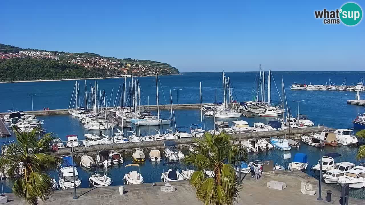 Spletna kamera Koper – Panorama na marino in promenado s Hotela Grand Koper