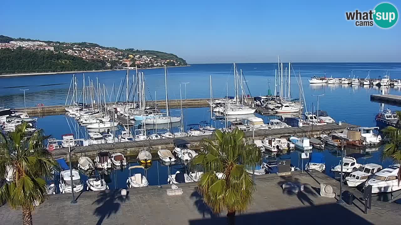 Web kamera Koper – marina i promenada – hotel Grand Koper