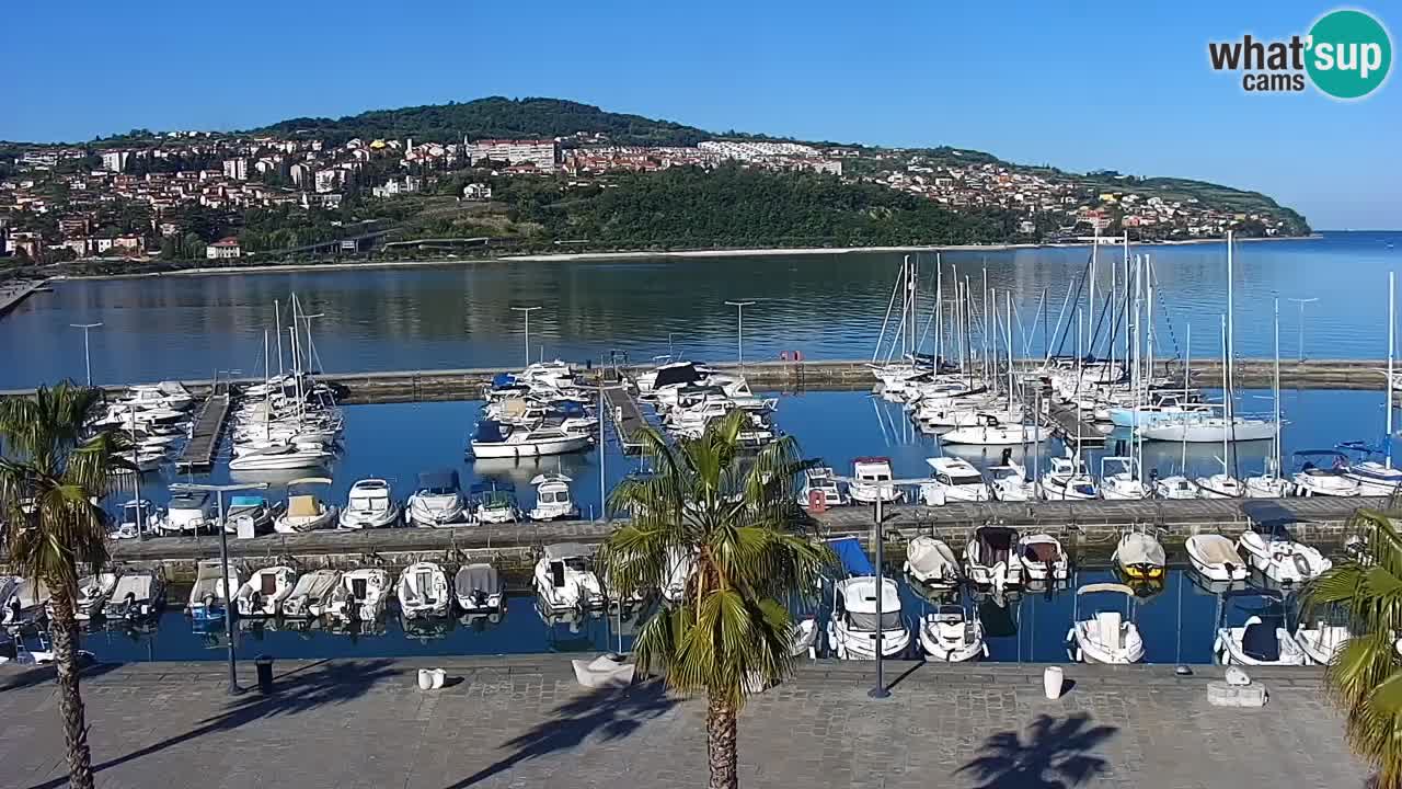 Der Hafen von Koper Live-Webcam – Kreuzfahrt- und Frachthafen – Slowenien