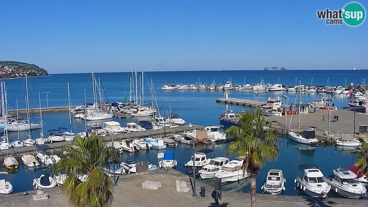 Spletna kamera Koper – Panorama na marino in promenado s Hotela Grand Koper