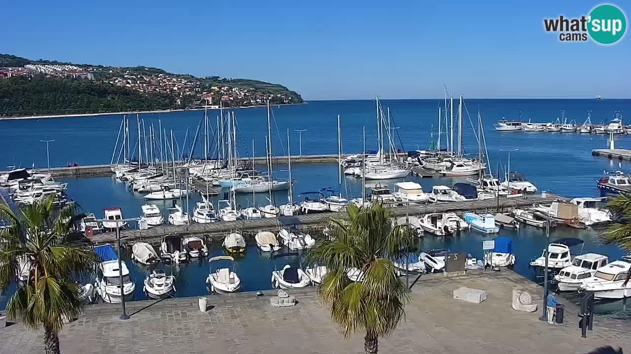 Camera en vivo Koper – puerto deportivo y paseo marítimo desde el Hotel Grand Koper