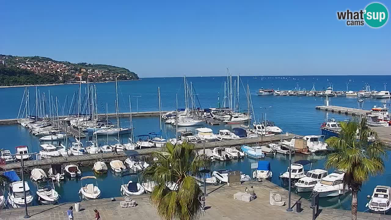 Spletna kamera Luka Koper v živo – Potniški terminal in tovorno pristanišče – Slovenija