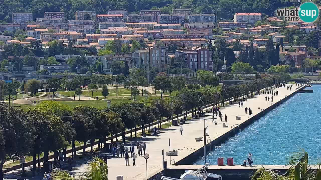 Camera en vivo Koper – puerto deportivo y paseo marítimo desde el Hotel Grand Koper