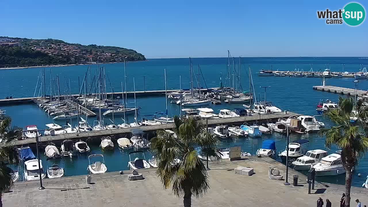 Camera en vivo Koper – puerto deportivo y paseo marítimo desde el Hotel Grand Koper