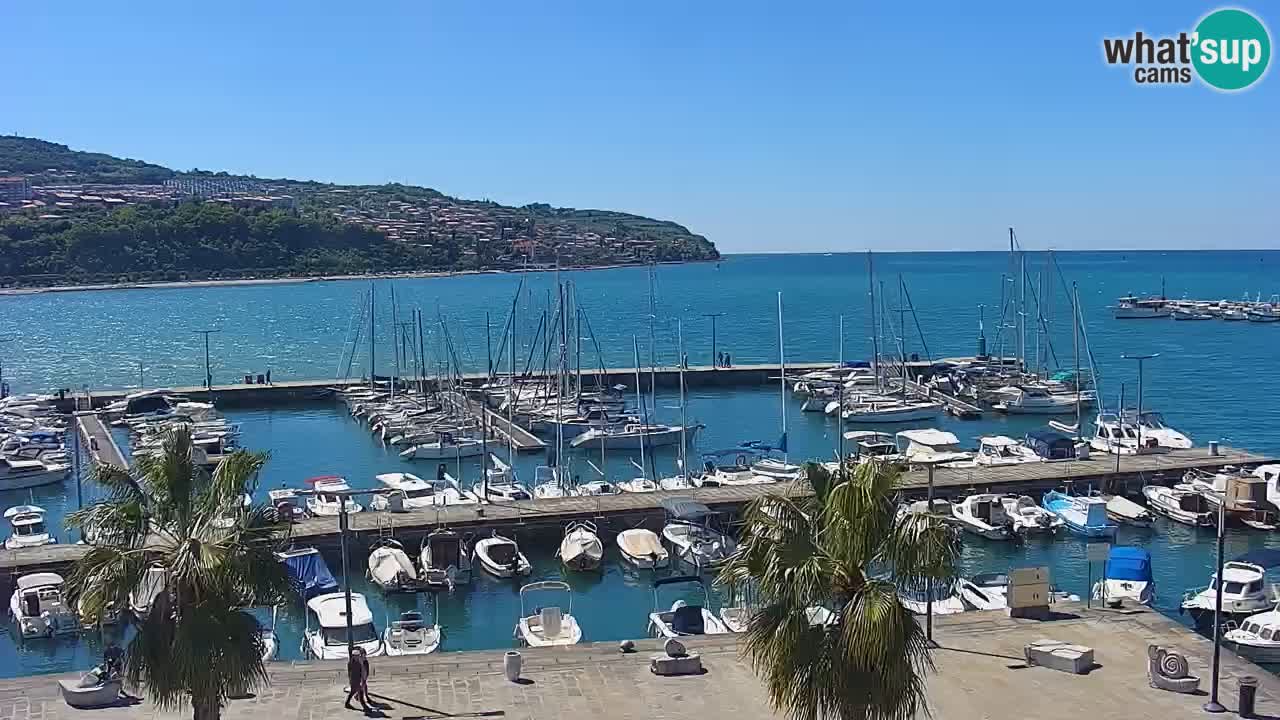 Camera en vivo Koper – puerto deportivo y paseo marítimo desde el Hotel Grand Koper