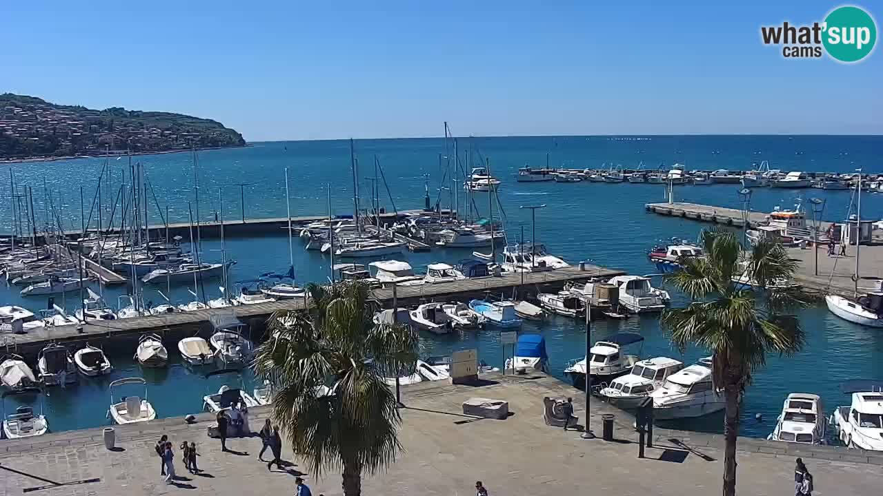 Webcam Koper – Panorama des Jachthafens und der Promenade vom Hotel Grand Koper