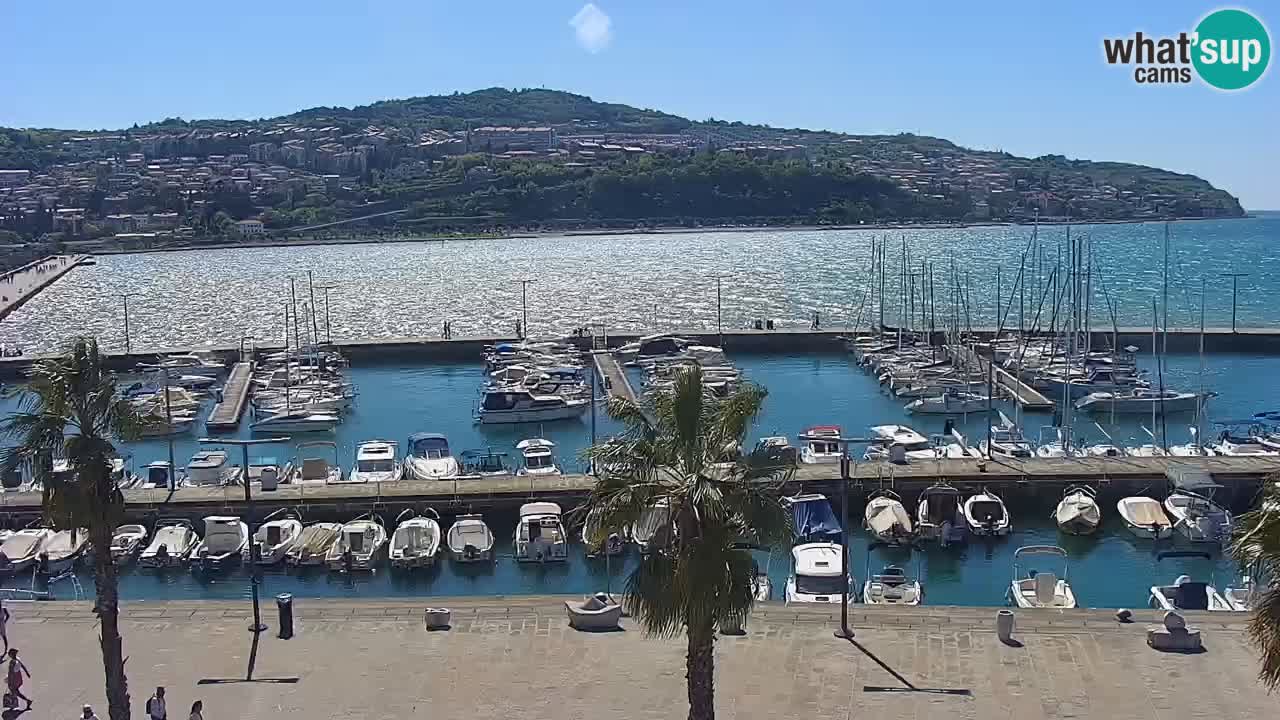 Web kamera Koper – marina i promenada – hotel Grand Koper