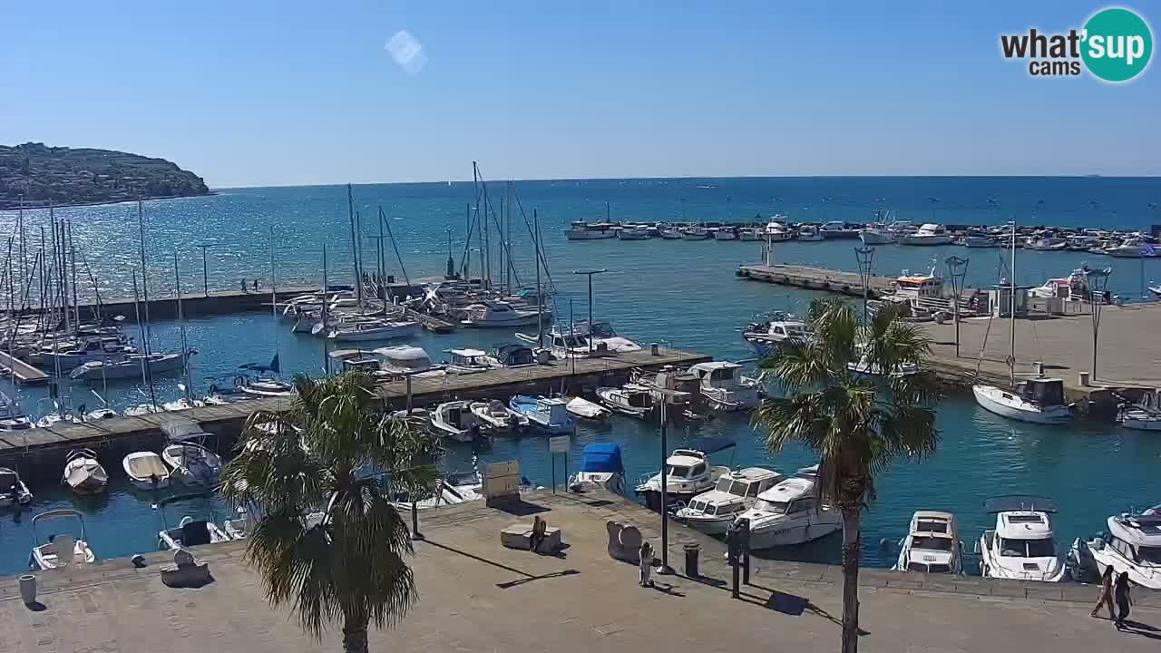 Web kamera Koper – marina i promenada – hotel Grand Koper