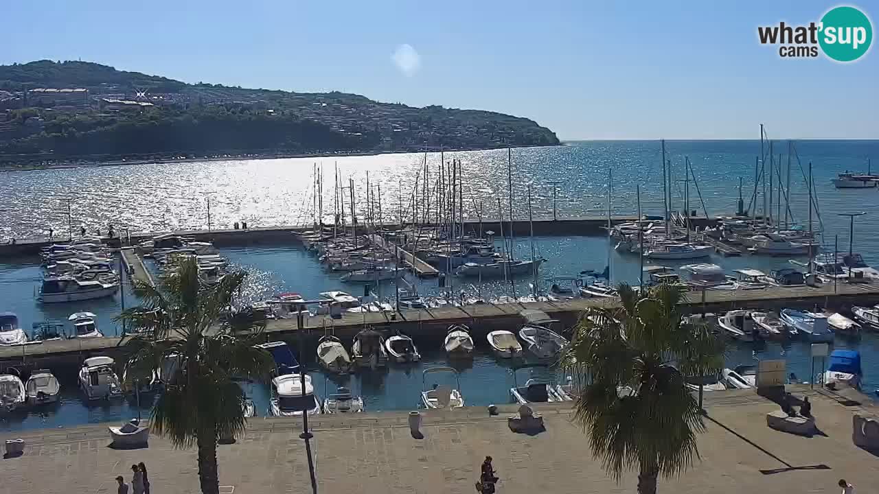 Camera en vivo Koper – puerto deportivo y paseo marítimo desde el Hotel Grand Koper