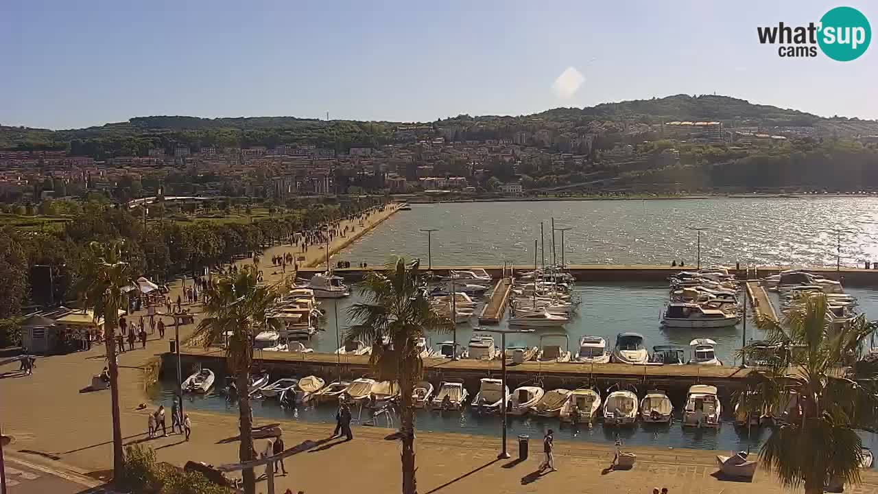 Web kamera Koper – marina i promenada – hotel Grand Koper
