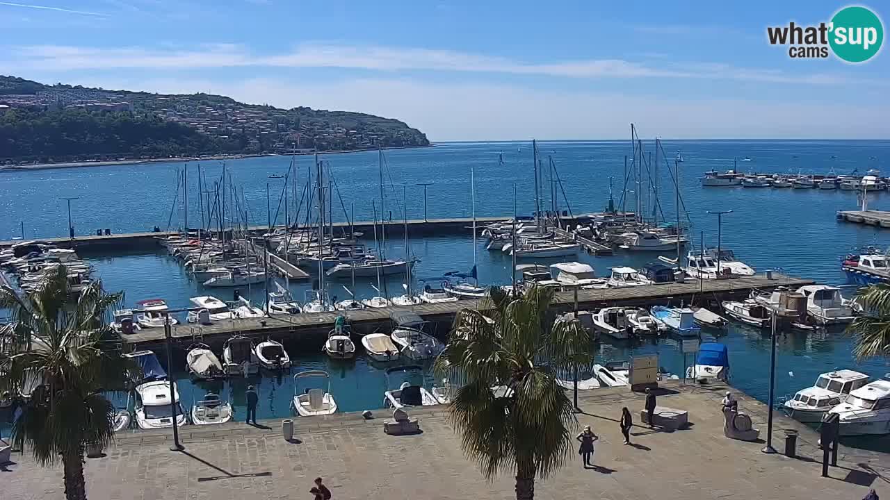 Webcam Capodistria – marina e lungo mare dall’Hotel Grand Koper