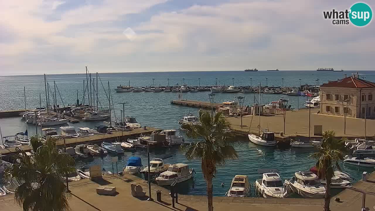 Webcam Koper – Panorama of the marina and promenade from the Grand Hotel Koper