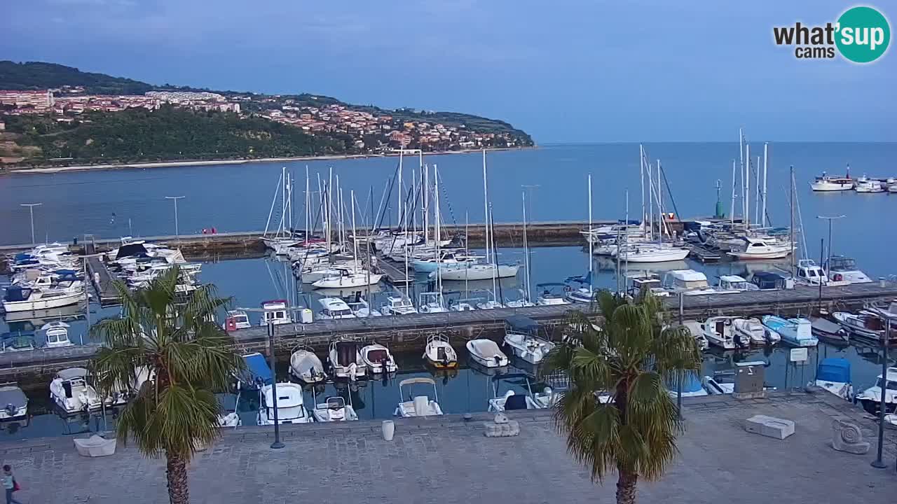 Webcam Koper – Panorama of the marina and promenade from the Grand Hotel Koper