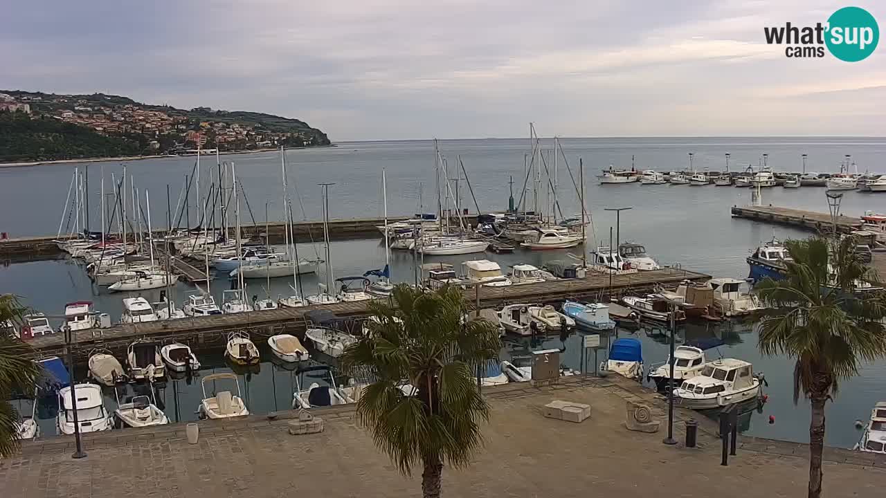 Webcam Koper – Panorama of the marina and promenade from the Grand Hotel Koper