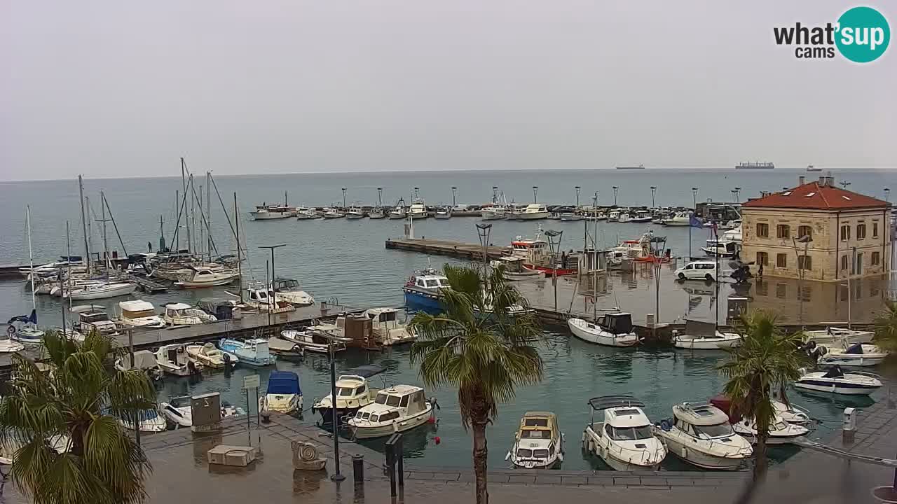 Web kamera Koper – marina i promenada – hotel Grand Koper