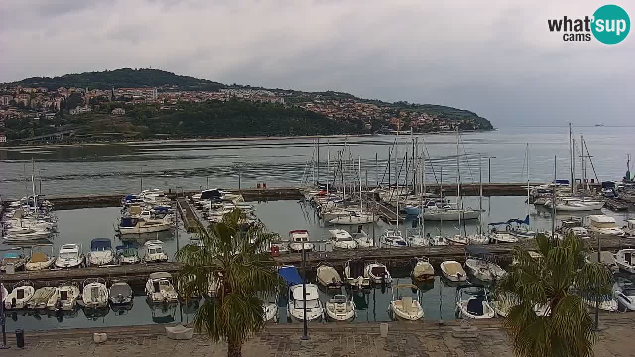 Spletna kamera Koper – Panorama na marino in promenado s Hotela Grand Koper