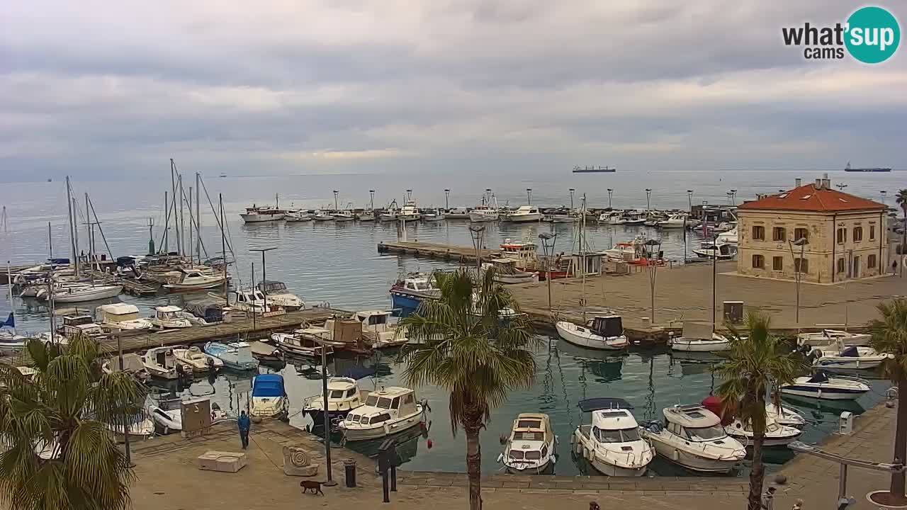 Webcam Koper – Panorama des Jachthafens und der Promenade vom Hotel Grand Koper