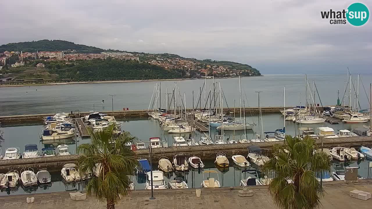 Webcam Capodistria – marina e lungo mare dall’Hotel Grand Koper