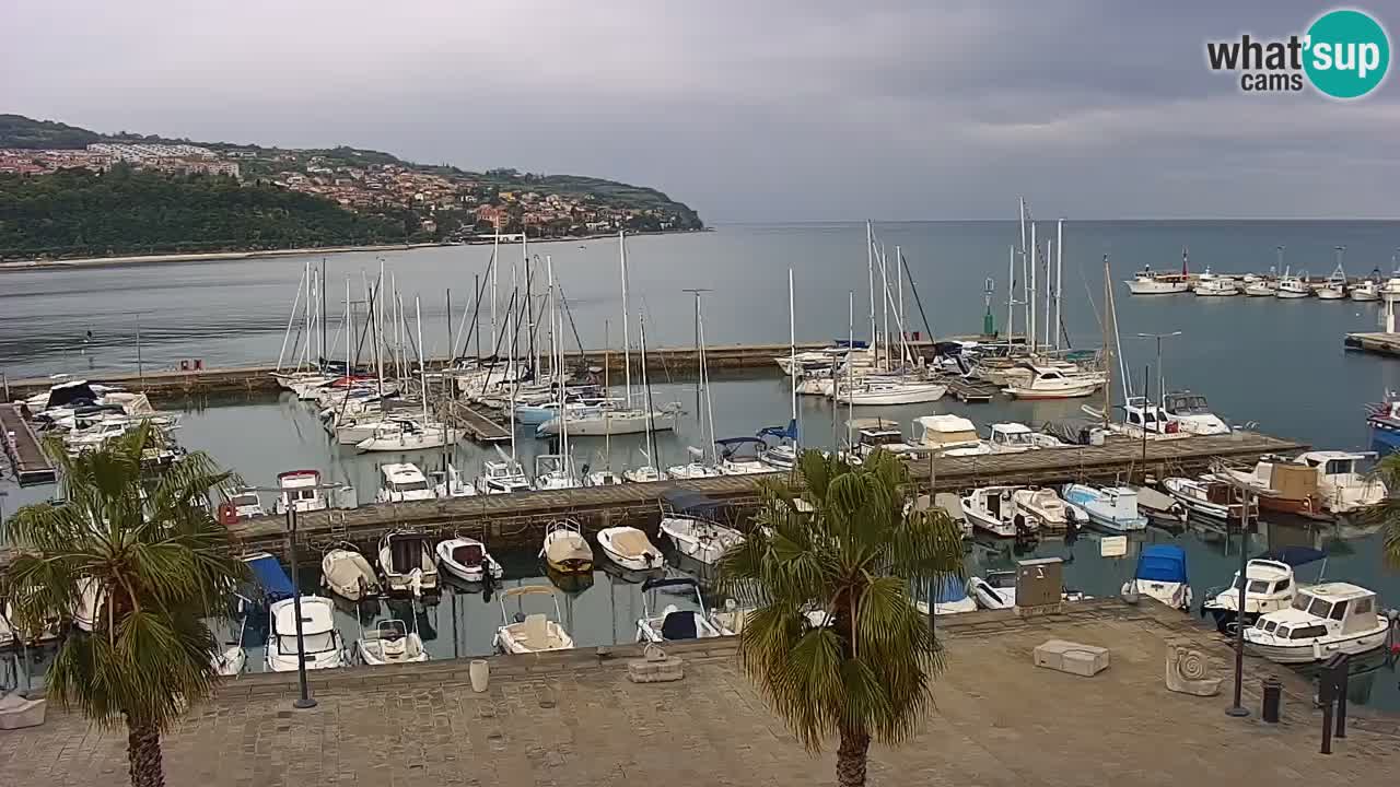 Webcam Koper – Panorama of the marina and promenade from the Grand Hotel Koper