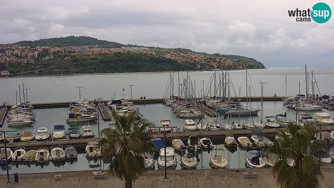 Webcam Koper – Panorama of the marina and promenade from the Grand Hotel Koper
