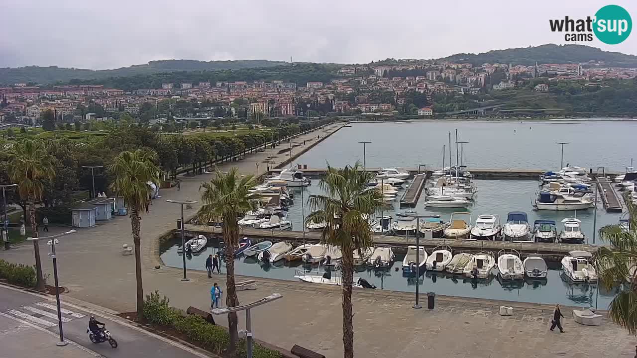 Webcam Koper – Panorama of the marina and promenade from the Grand Hotel Koper