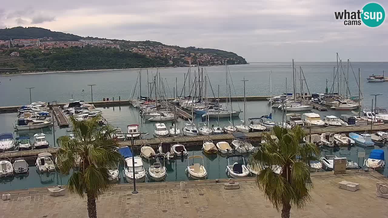 Webcam Koper – Panorama des Jachthafens und der Promenade vom Hotel Grand Koper
