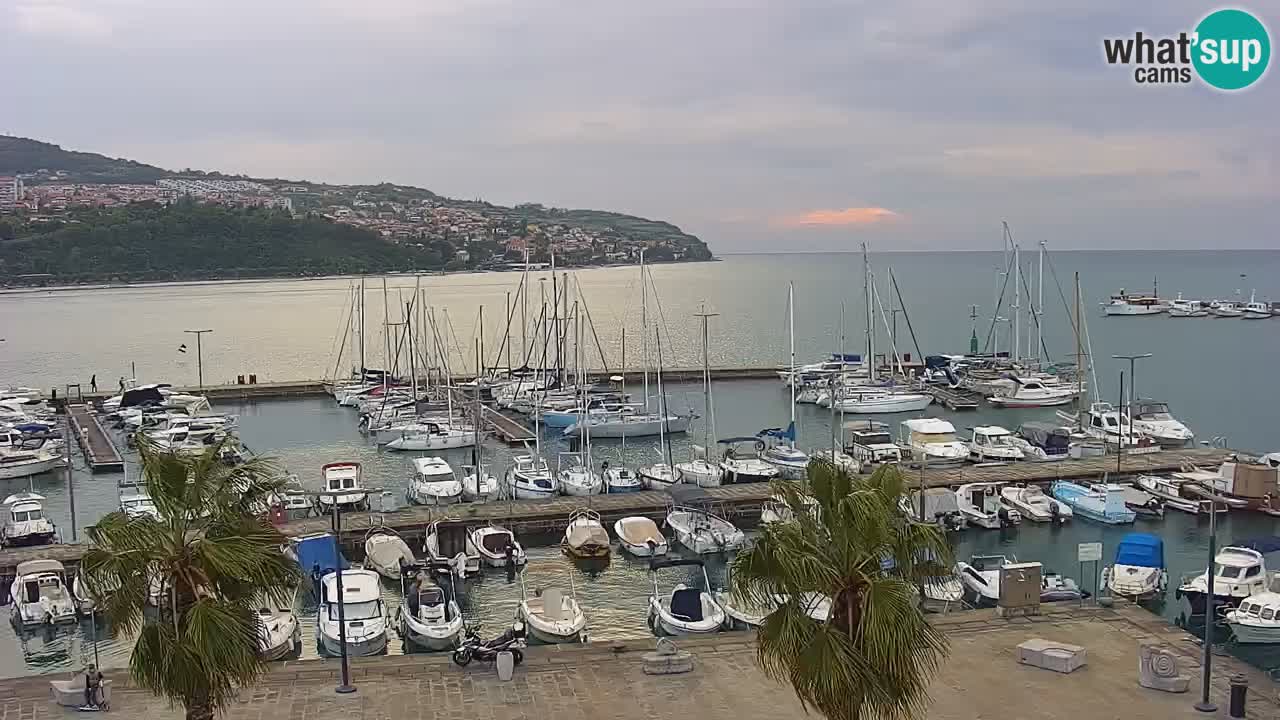 Camera en vivo Koper – puerto deportivo y paseo marítimo desde el Hotel Grand Koper
