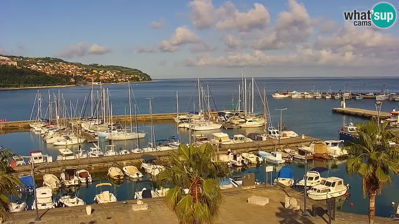 Camera en vivo Koper – puerto deportivo y paseo marítimo desde el Hotel Grand Koper
