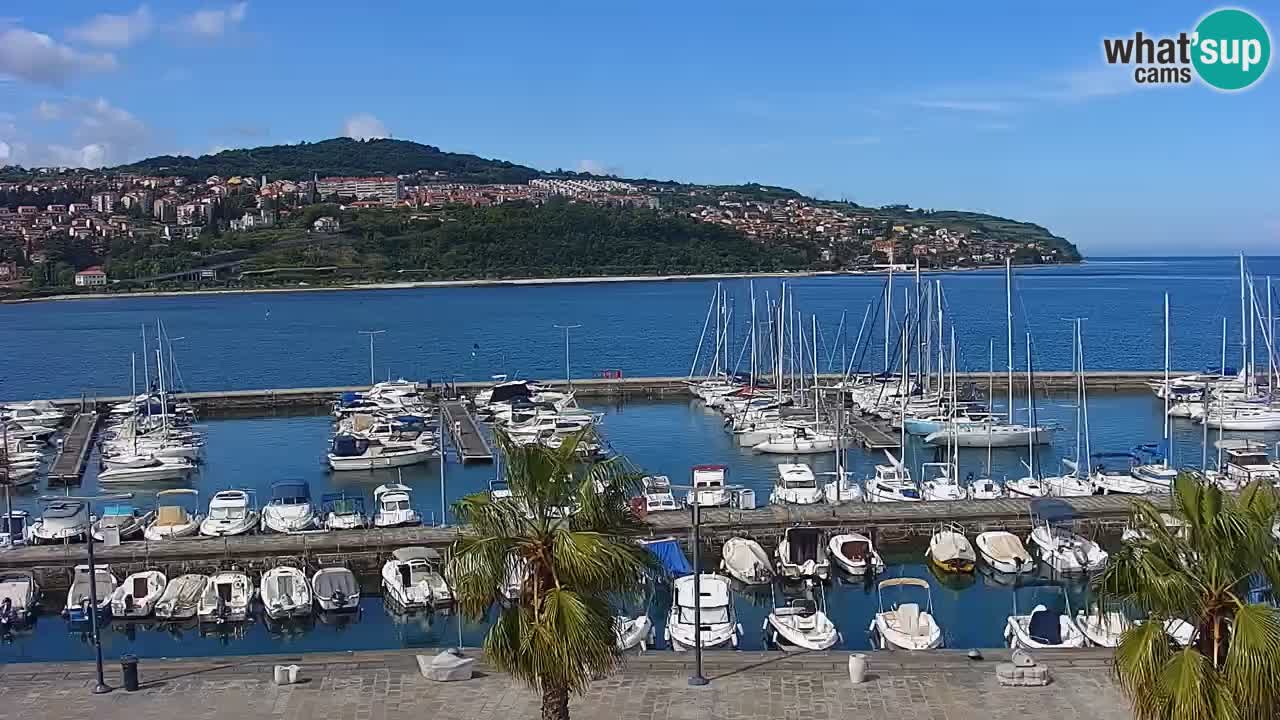 Il porto di Koper – Capodistria live webcam – porto crociere e mercantile – Slovenia