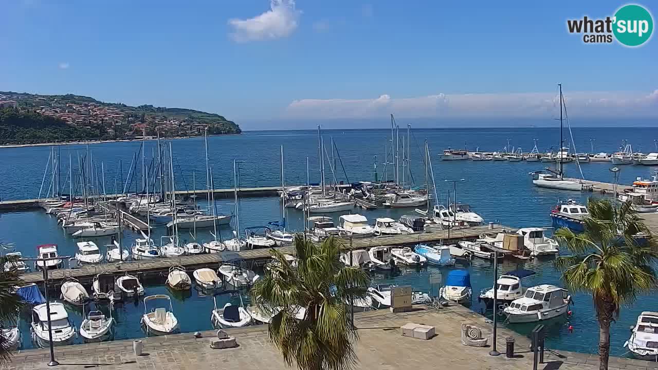 Spletna kamera Koper – Panorama na marino in promenado s Hotela Grand Koper